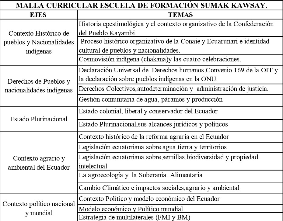 Ejes Temáticos
